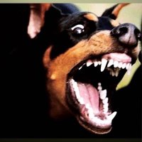 Vuhhx♟️ (@6ixgad_) 's Twitter Profile Photo