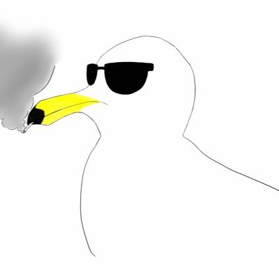 ヤニカモメ(学名:Larus crassirostris)は、主に東アジアに生息するカモメの一種です。