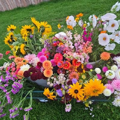 Seasonal, hand-tied bouquets, event flowers and arrangements using all home-grown flowers. 🐝