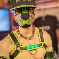 Sciopup (@sciopup) 's Twitter Profile