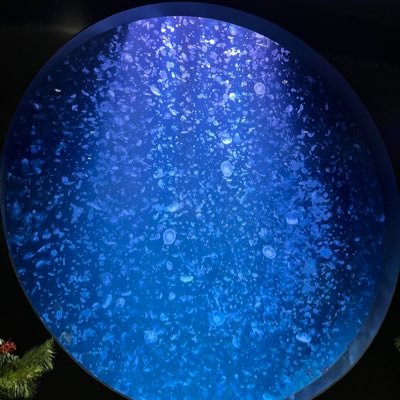 tetsuANP's profile picture. 初心者Nurse Practitioner です！ 外科NP/MSN/DMAT/医学教育/POCUS/北の大地で精一杯やります！2024年4月〜地域のプライマリー領域で活動中です！趣味は散歩🚶読書📖水族館巡り🐟