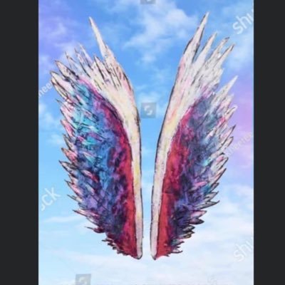 artist and creator of Global Angel Wings Project ®️ -2012 - to remind humanity we are the angels of this earth. @colettemiller