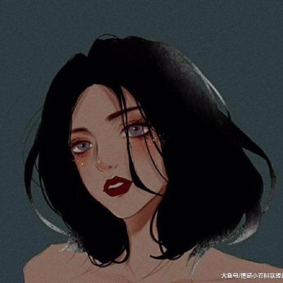 klaropfoto's profile picture. 