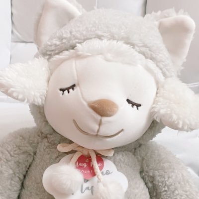 メェちゃんさんのプロフィール画像