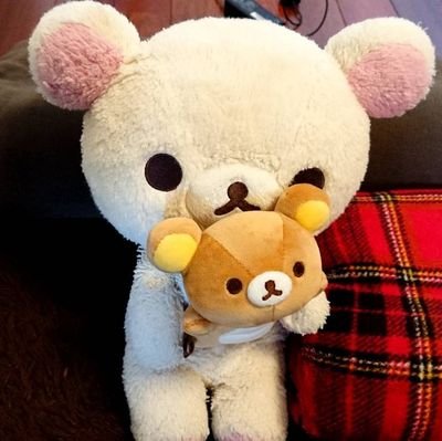 かおる🐻🍓さんのプロフィール画像