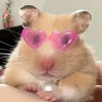 길몽이의 진심 (@dadoma83061) 's Twitter Profile Photo