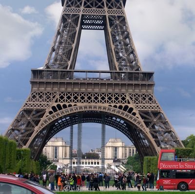 Doggy686868's profile picture. 