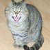 Leszek Markiewicz😾 (@kotym_doomer) Twitter profile photo Leszek Markiewicz😾 (@kotym_doomer) Twitter profile photo