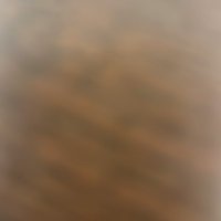 Parejanuevamiami (@parejanuevmiami) 's Twitter Profile