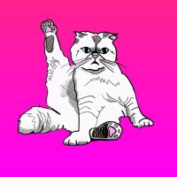 Taylor Swift's Cat - Olivia (@livbensononsol) 's Twitter Profile Photo Taylor Swift's Cat - Olivia (@livbensononsol) 's Twitter Profile Photo