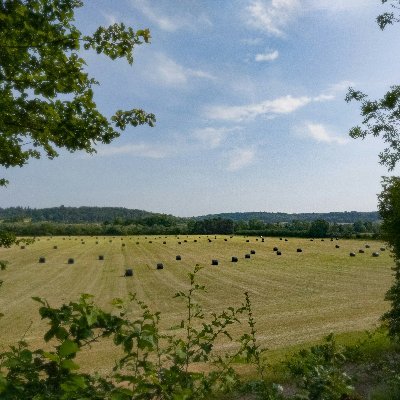 Farm views & weather