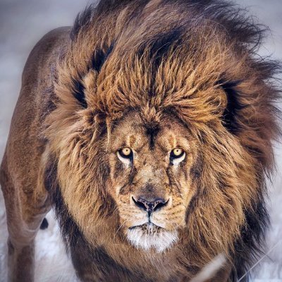 xyz123W's profile picture. 