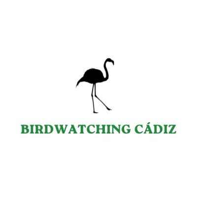 Página web dedicada a difundir información sobre el avistamiento de aves en la provincia de Cádiz.