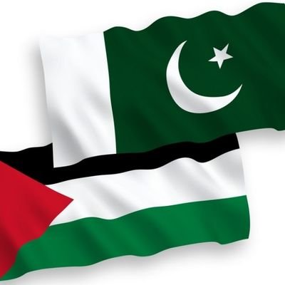 Saiem__'s profile picture. ایک عام انسان جو سمجھتا ہے کہ کوئی بھی معاشرہ انصاف کے بغیر قائم نہیں رہ سکتا۔ (rts not endorsement )
