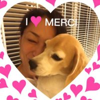 MELTONE🐕🐈❤️🚶🏻♀️ (@meltone20) 's Twitter Profile Photo MELTONE🐕🐈❤️🚶🏻♀️ (@meltone20) 's Twitter Profile Photo