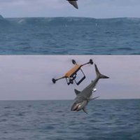 Plushka (@plushka52241128) 's Twitter Profile