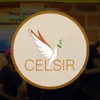 CELSIR(@celsir_org) 's Twitter Profile Photo