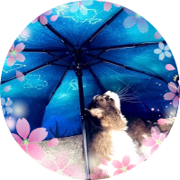 196 (@rojer196) 's Twitter Profile