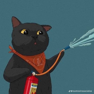 fkhabir0's profile picture. Different Time Same Love ⏳️❤️