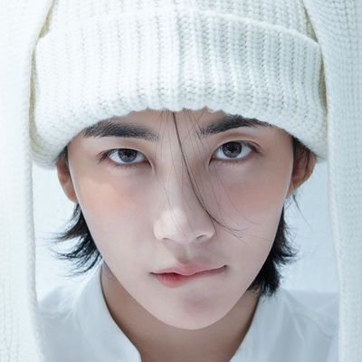 tokkihannie's profile picture. carat