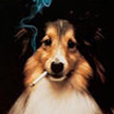 jvincentwriter's profile picture. writer, artist, horror lover, blasphemer 🏳️‍⚧️🏳️‍🌈 (he/him)