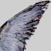 Cupid (@nightwingnyx) Twitter profile photo Cupid (@nightwingnyx) Twitter profile photo