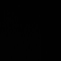 __Lénv (@lenvcm) 's Twitter Profile