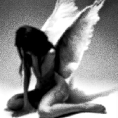 gingerkattt's profile picture. 