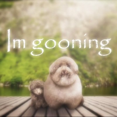 Mrdoge24393485's profile picture. 