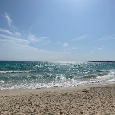 lojiytr's profile picture. ねこ うみ ときめき おきなわ