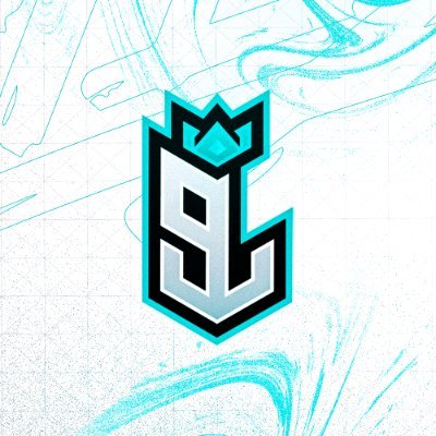 9LiesEsports Profile Picture