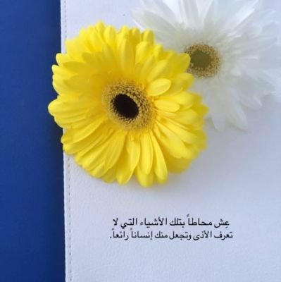 #ناشطة بالعمل الخيري ،، قال رسول الله ﷺ : الساعي على الأرملة والمسكين كالمجاهد في سبيل الله . ؛🍃🌸 #اتفيأ ستر الله عز وجل ،، hope