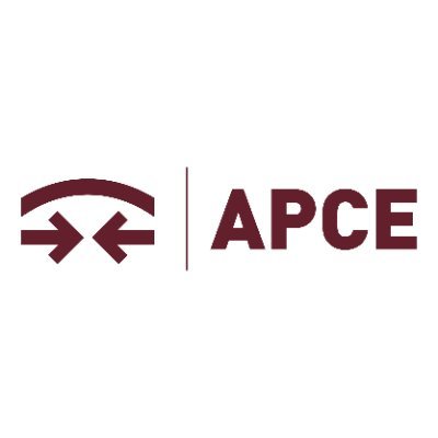 APCE_Congresos Profile Picture