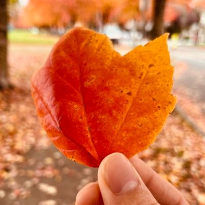 BlueSky41792327's profile picture. A beginner of #Icrypto 诚实的做一颗稳定的韭菜