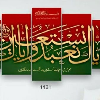 DrnasreenAhmed2's profile picture. 