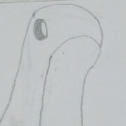 Nessie from Titanfall my beloved | sneasel evolution line enjoyer | I do traditional art sometimes | mostly repost banger art I see on my feed