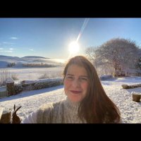 Lisa Patton (@lisapattontweet) 's Twitter Profile