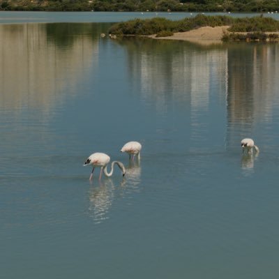 jan_remon's profile picture. 