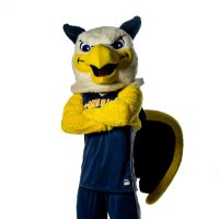 Petey The Griffin (@peteygriffin) 's Twitter Profile