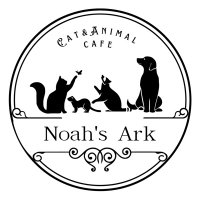 Cat＆Animal Cafe Noah's Ark(@NoahsArk_Gion) 's Twitter Profile Photo