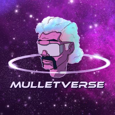 Mulletverse Profile Picture