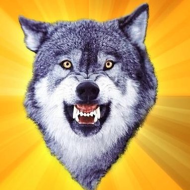 PIFLBcoin's profile picture. PAIN IS FEAR LEAVING BODY! #Solana #Memecoin

Better out than in.

https://t.co/980sQFtBYI

CA: 8dzHYQm5c2tu3TLivmSKPis1L5y7Z86JBvJ1nQS2DkJA