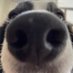 Napero (@n4p3r0) Twitter profile photo Napero (@n4p3r0) Twitter profile photo