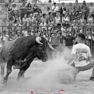 ESPAÑOL 🇪🇦
Taurino. Recortador y aficionado al TORO. Alcarreño.