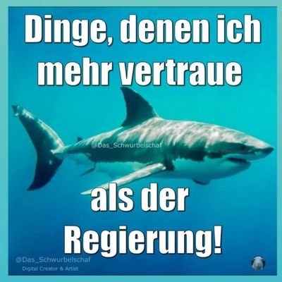 KisteTraveller's profile picture. Für den Weltfrieden.
