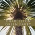 Charleston Green Party (@charlestongp) Twitter profile photo Charleston Green Party (@charlestongp) Twitter profile photo