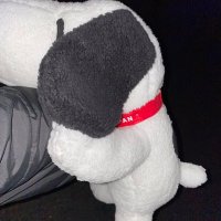 素数 (@emirpniwt) 's Twitter Profile Photo 素数 (@emirpniwt) 's Twitter Profile Photo