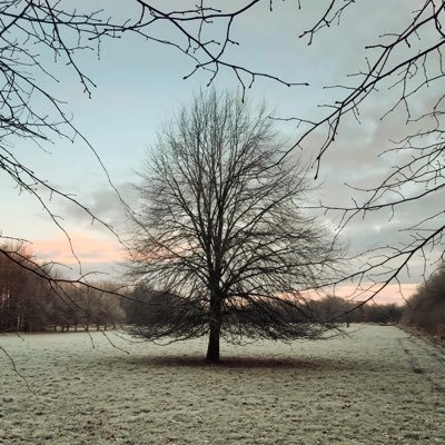 Knastertje's profile picture. Schaterlach