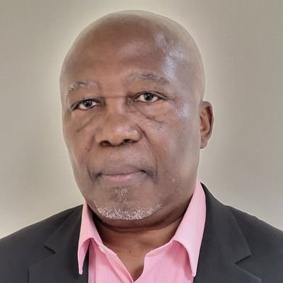 Consultant, Administrateur Directeur Technique honoraire de la Régie des voies fluviales de la RDC, DG honoraire de poste et télécommunications de la RDC