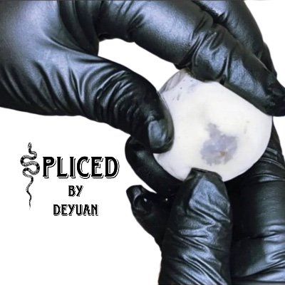 splicedbydeyuan's profile picture.